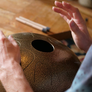 F N'Goni Manastone Steel Tongue Drum